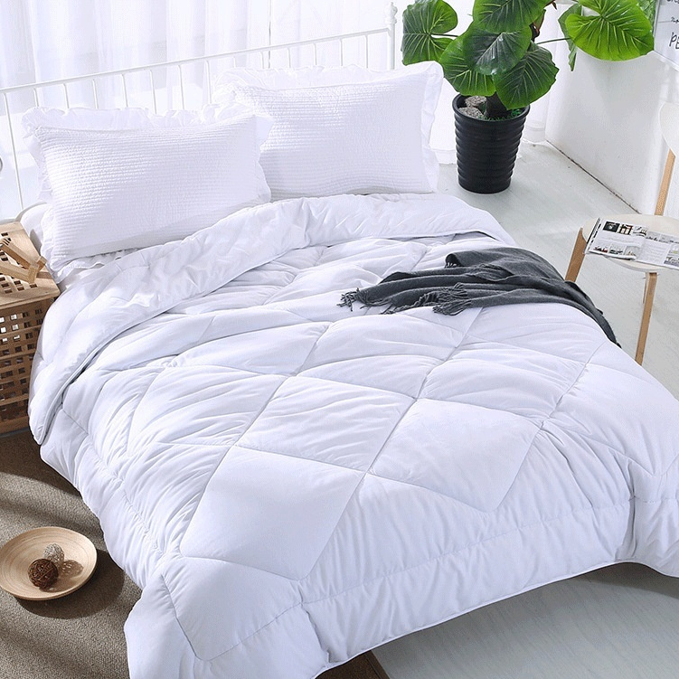 Winter Quilt Inner Thin Cotton Quilt Spring And Autumn Light Summer Four Seasons - Image 2