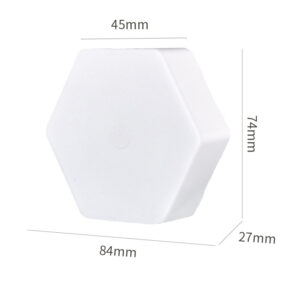 Wireless remote control pat light