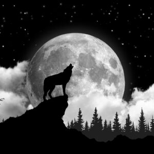 Wolf on the moon pattern tapestry