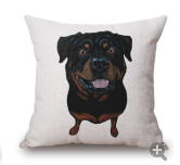 cushion