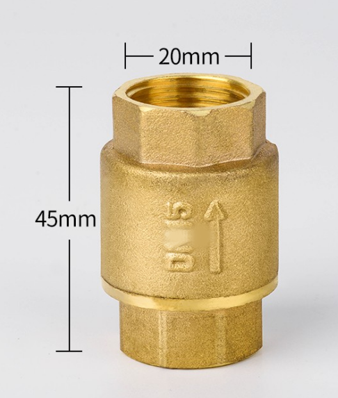 Horizontal Check Valve All Copper Check Valve Check Valve Check Valve 4 Points 6 Points 1 Inch DN50 65 80 100 - Image 10