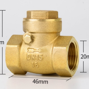 Horizontal Check Valve All Copper Check Valve Check Valve Check Valve 4 Points 6 Points 1 Inch DN50 65 80 100