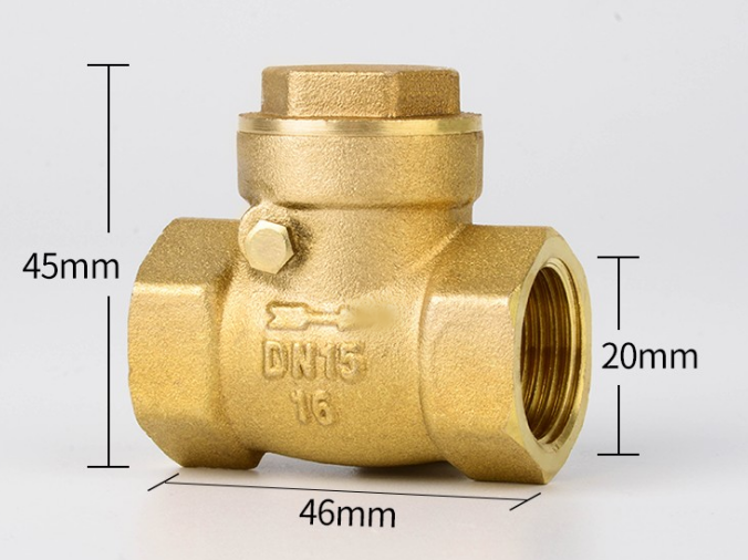 Horizontal Check Valve All Copper Check Valve Check Valve Check Valve 4 Points 6 Points 1 Inch DN50 65 80 100