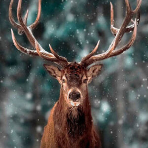 Forest Fawn Full Diamond Diamond Embroidery