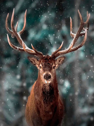Forest Fawn Full Diamond Diamond Embroidery