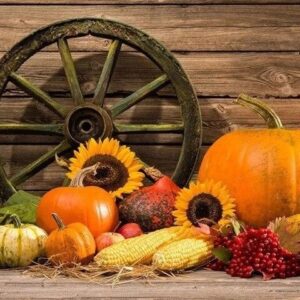 Pumpkin horn | Diamond embroidery kit