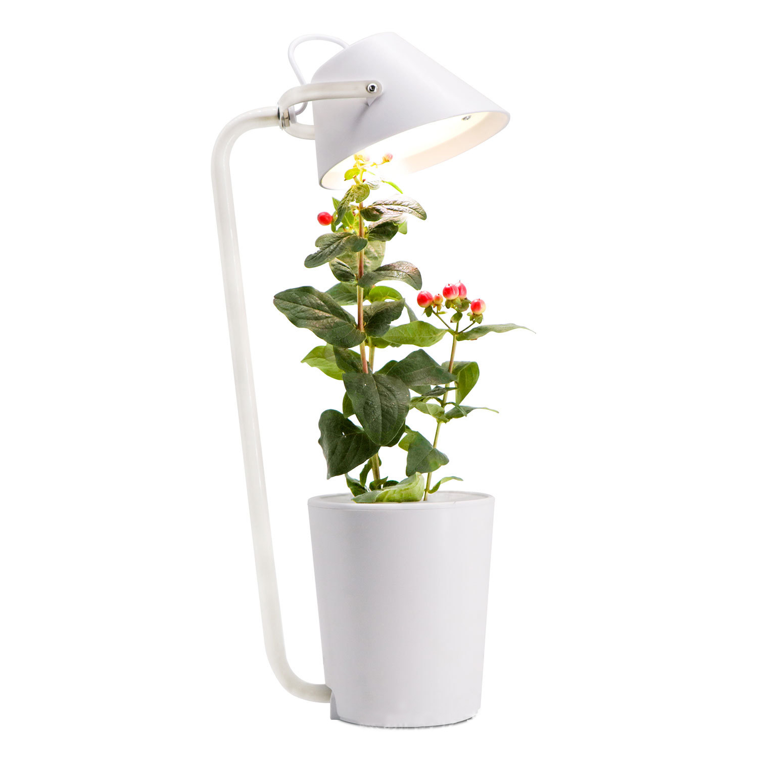 Soilless cultivation plant growth machine