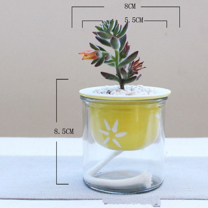 Cartoon glass ceramic flower pot - Image 2