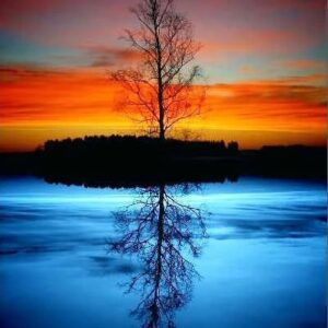 Digital Oil Painting Color Filling Frameless Decoration